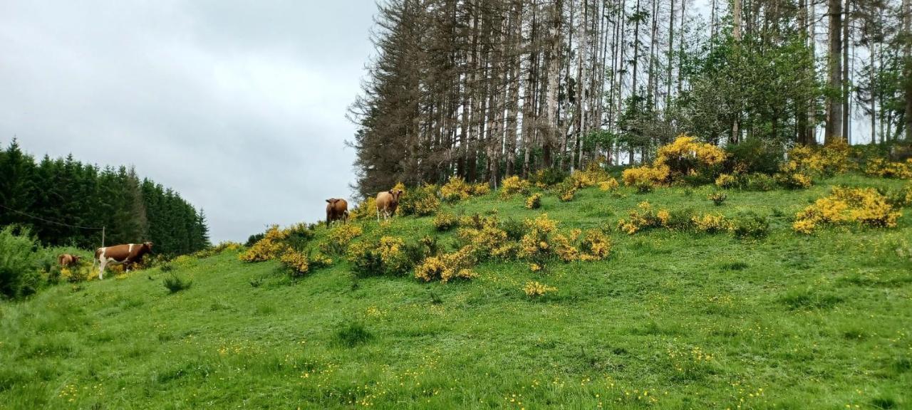 Du Cheval Blanc A Houmont